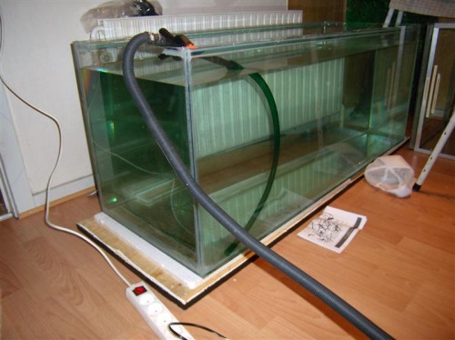 P2150006 (Medium).JPG