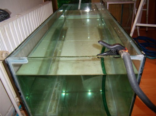 P2150007 (Medium).JPG