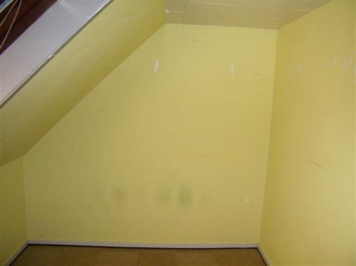 P2170008 (Medium).JPG