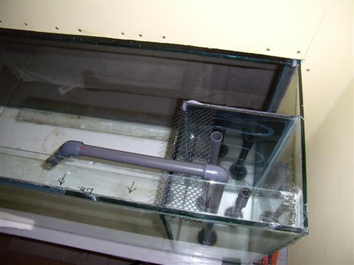 P2230003 (Medium) (2).JPG