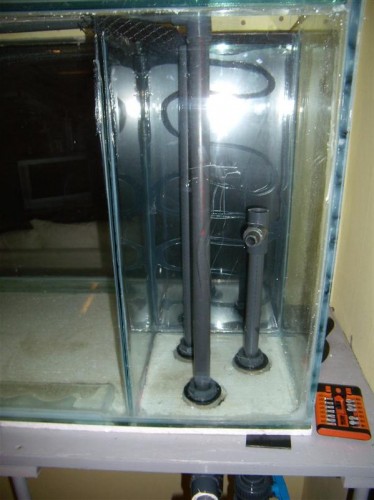 P2230004 (Medium) (2).JPG
