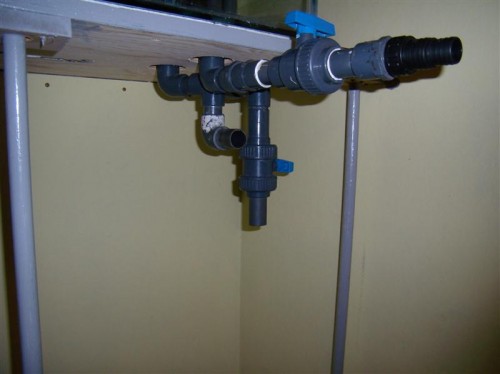 P2230005 (Medium).JPG