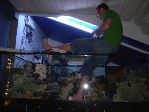 37.jpg (75.56 KiB) Vist 2072 gange han er for fed til at lave stenopsætning