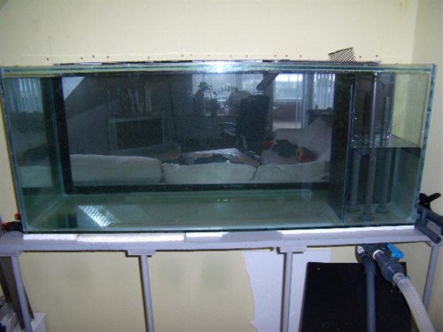 P2270003 (Medium).JPG