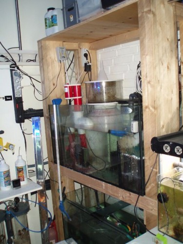 MyFile 42.jpg (90.58 KiB) Vist 2067 gange sump til skummer, rowaphoss, filtervat