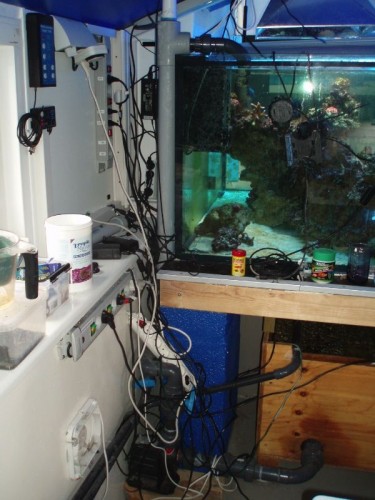 MyFile 43.jpg (88.72 KiB) Vist 1877 gange returpumpe går op gennem uv filter tmc 80w, og også videre ud til køler som står udenfor, og er ikke i brug lige nu, da der jo ligesom er køligt nok :)