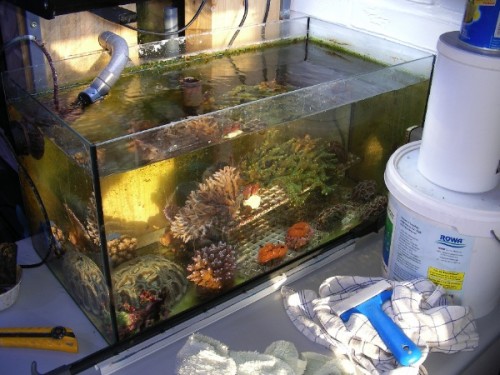 241.jpg (118.44 KiB) Vist 2067 gange mit lille fragment akv