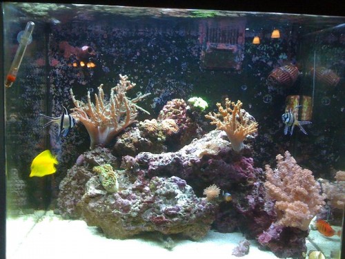 RSM 130.jpg (113.23 KiB) Vist 1090 gange ældre billede af mit RSM 130