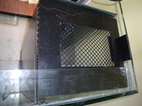 P3060004 (Medium).JPG