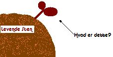 Hvad er dette.JPG