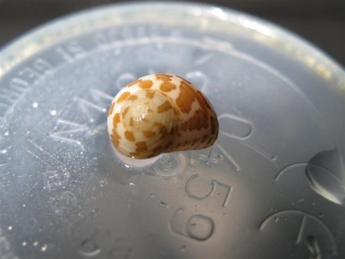 IMG_4470 (Medium).JPG