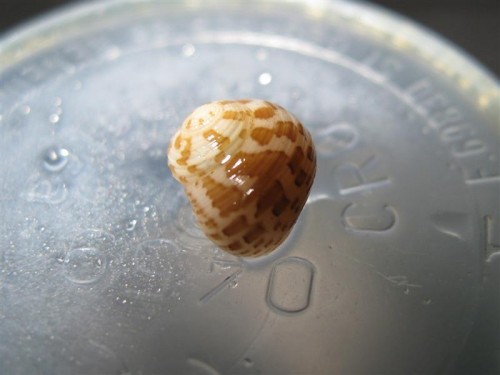 IMG_4471 (Medium).JPG