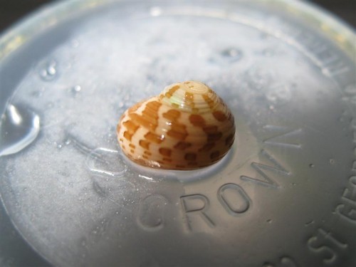 IMG_4472 (Medium).JPG