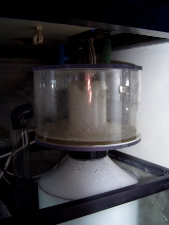 P1010145.JPG