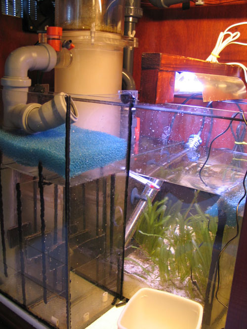Sump-3.jpg