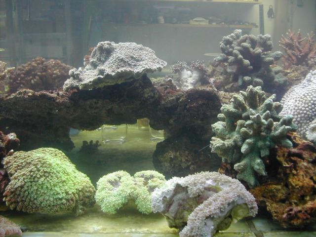 Image-09.JPG