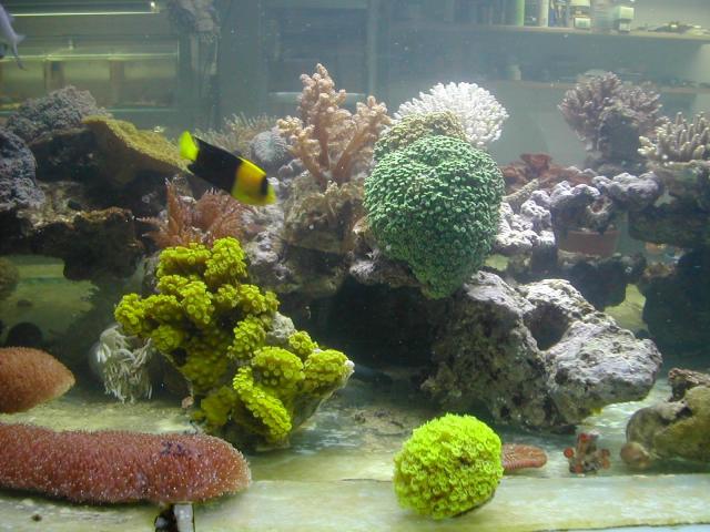 Image-07.JPG