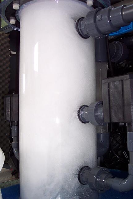 100_3897.JPG