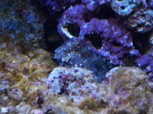 100_0274.JPG
