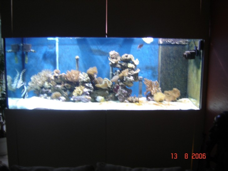 DSC00279.jpg