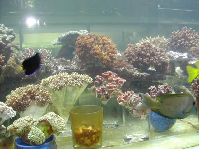 Image-04.JPG