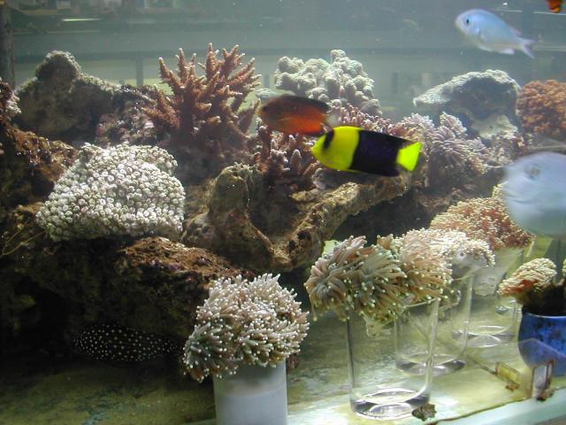 Image-03.JPG