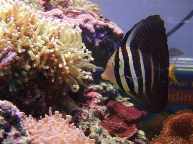 P8161415 (Small).JPG