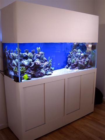 Fullshot2.jpg
