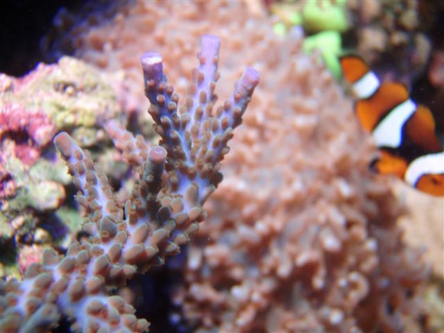 P8161319 (Small).JPG
