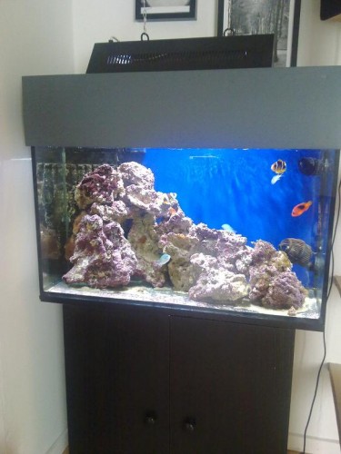 11042010060.jpg