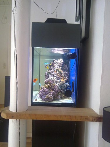 11042010063.jpg