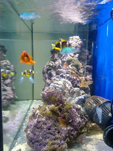 11042010062.jpg