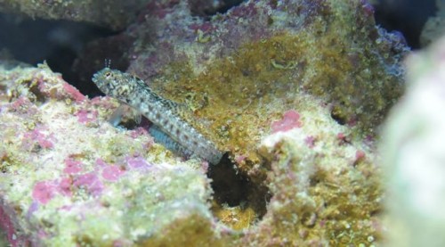 DSC_2402.jpg