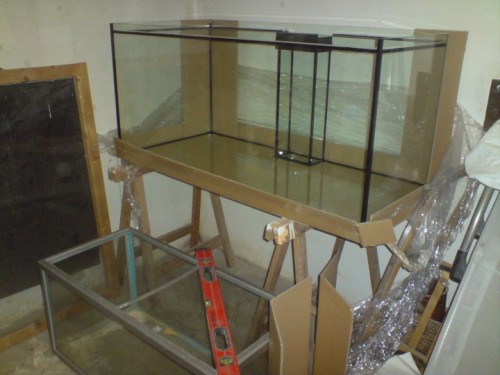 DSC01251 [DVD (PAL)].JPG