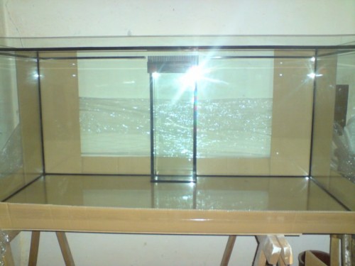 DSC01253 [DVD (PAL)].JPG