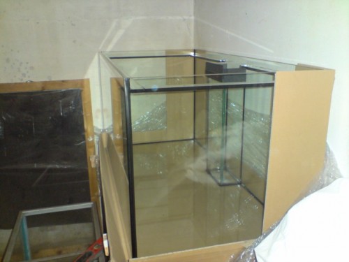 DSC01255 [DVD (PAL)].JPG
