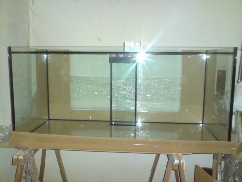 DSC01256 [DVD (PAL)].JPG