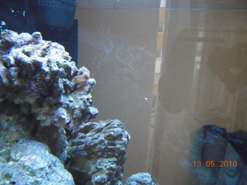 jacob 13-05-2010 012.JPG