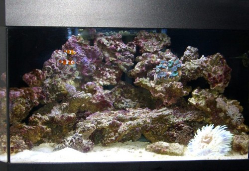 Full tank shot
