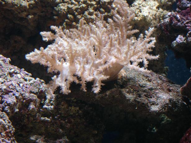 DSC02335.JPG