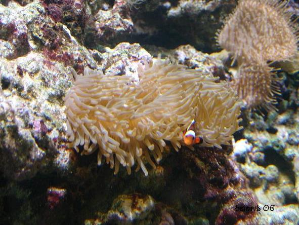 DSC02294.JPG