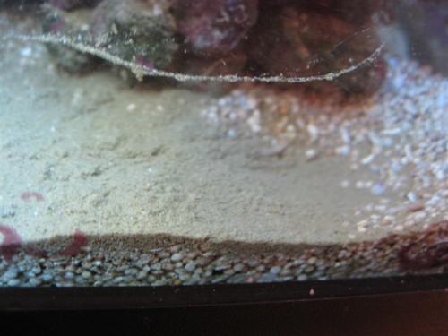 IMG_4751 (Medium).JPG