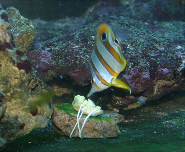 Image03.jpg