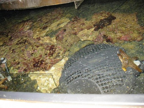 sump3.JPG