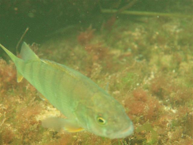 P8261576 (Small).JPG
