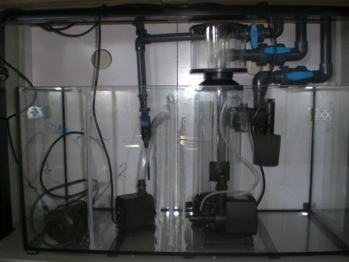 CIMG2450 [640x480].JPG