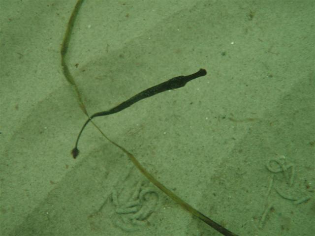 P8261555 (Small).JPG