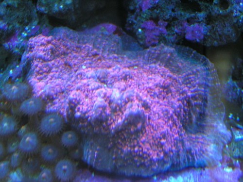 PICT1797.JPG