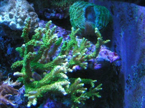 PICT1803.JPG