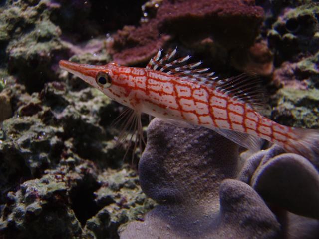 P8271762 (Small).JPG